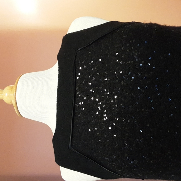 NWT🌟HP🌟 Loft Sequin Dress - Picture 6 of 11